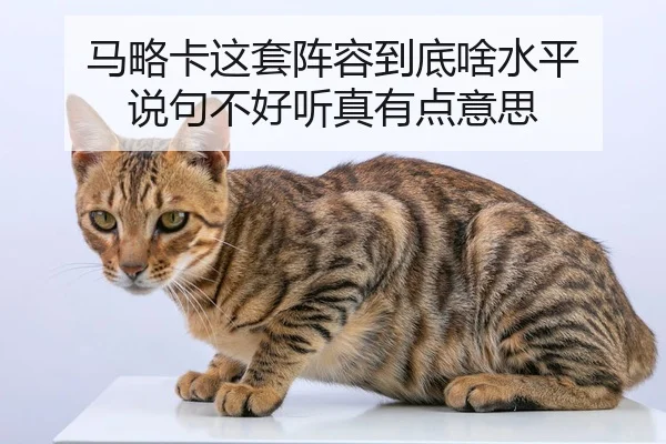 ma-lve-ka-zhe-tao-zhen-rong-dao-di-sha-shui-ping-shuo-ju-bu-hao-ting-zhen-you-dian-yi-si-2-450.jpg