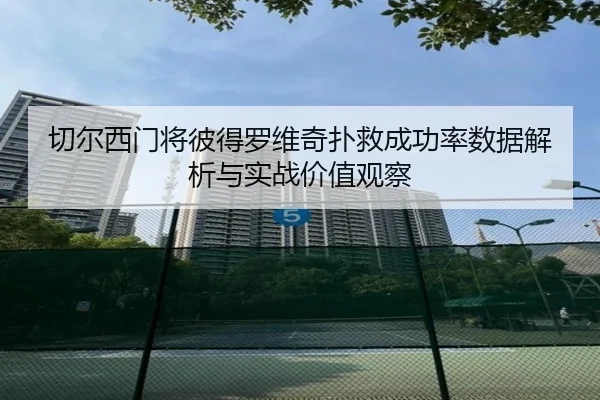 切尔西门将彼得罗维奇扑救成功率数据解析与实战价值观察