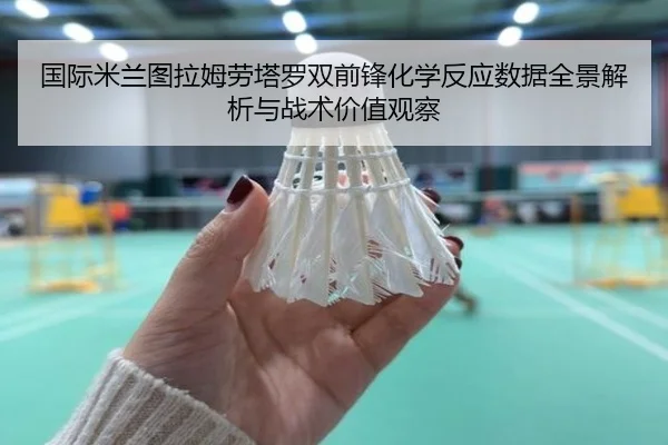 国际米兰图拉姆劳塔罗双前锋化学反应数据全景解析与战术价值观察
