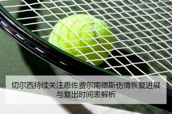 切尔西持续关注恩佐费尔南德斯伤情恢复进展与复出时间表解析