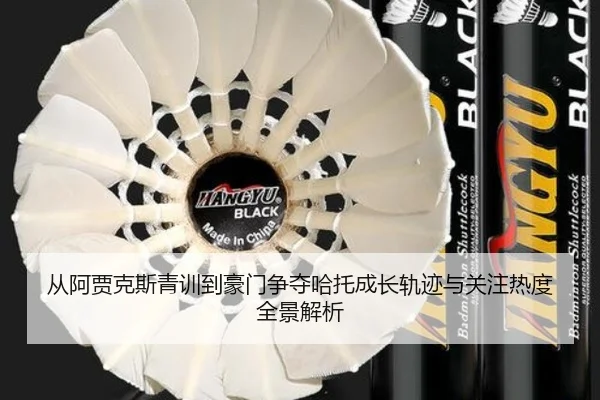 从阿贾克斯青训到豪门争夺哈托成长轨迹与关注热度全景解析