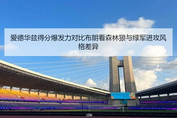 爱德华兹得分爆发力对比布朗看森林狼与绿军进攻风格差异